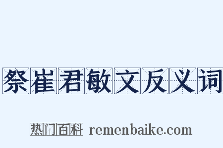 祭崔君敏文反义词是什么意思的图片